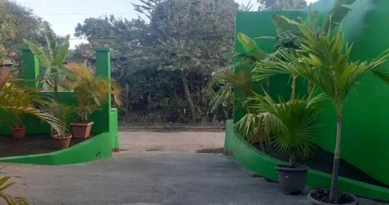 Cocos Hostel Moyogalpa Eksteriør bilde