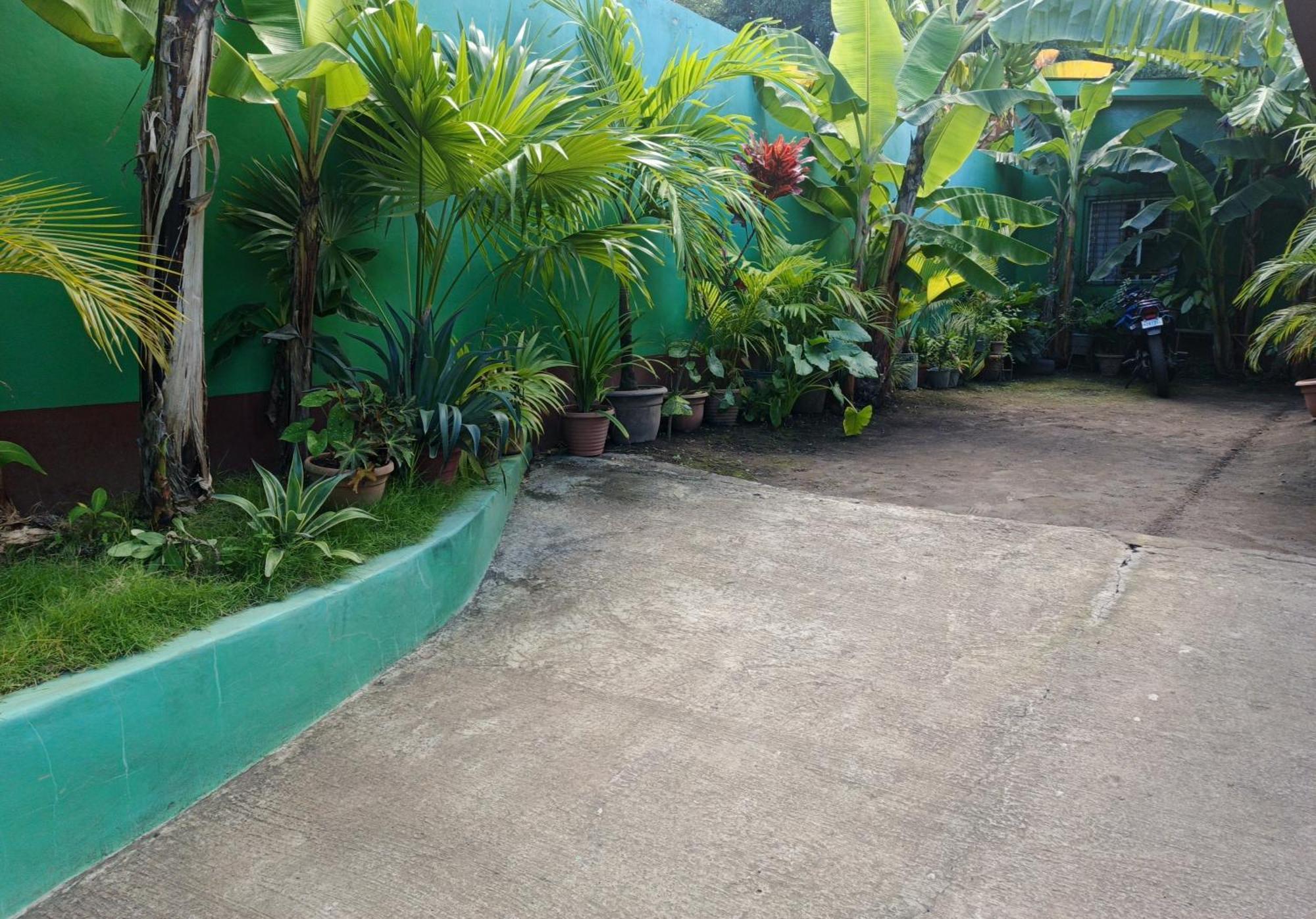 Cocos Hostel Moyogalpa Eksteriør bilde